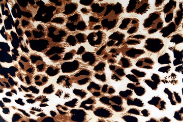 Closeup of Brown and Black Spotted Leopard Skin Fabric