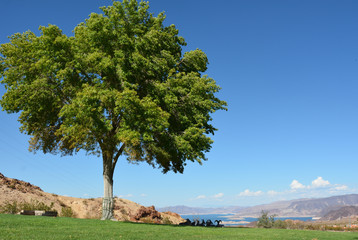 Beautiful landscape with lake view in Nevada Usa