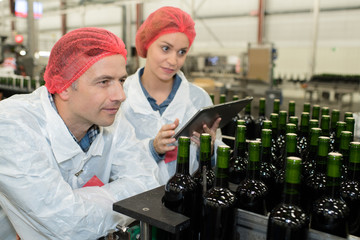 Workers looking proudly at wine bottles