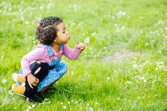 Outdoor portrait of a cute toddler black girl blowing a dandelion flower - African american or mexican ethnicity concept.
