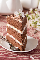 Slice of homemade cake on a plate