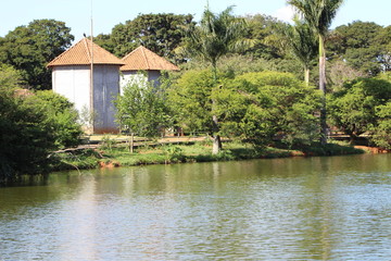 Obraz premium paisagem lago coqueiros