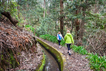 Fototapeta premium Levada Hike
