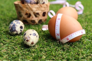 Quail eggs on artificial grass