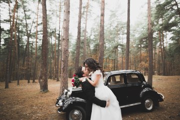 Just married couple in the luxury retro car on their wedding day