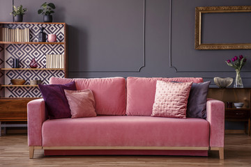 Pink velvet couch with decorative pillows standing in grey living room interior with vintage...