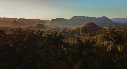 Paisaje tabaquero en Vi&ntilde;ales