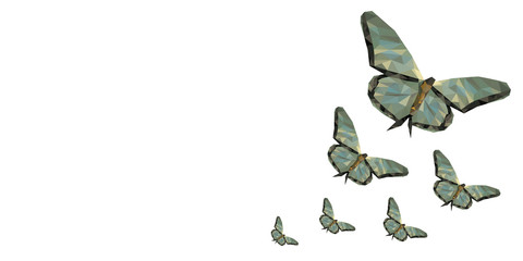 Isolated white background of beautiful natural green abstract low poly butterfly life cycle, represent successful growth, bright future and transformation concept. With empty copy space background.