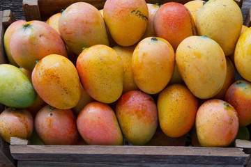 Mango fruits in basket at Indian fresh market close up