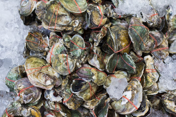Fish and seafood at a market in Thailand