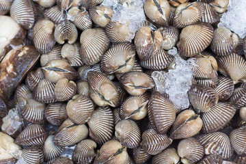 Fish and seafood at a market in Thailand