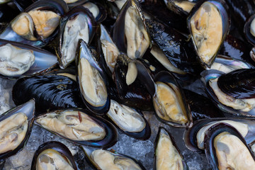 Fish and seafood at a market in Thailand