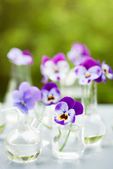 pansy flowers in chemical glassware, table decoration in garden