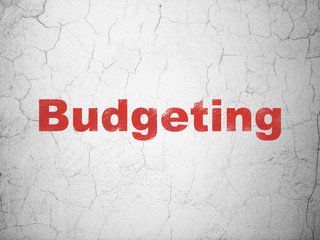 Business concept: Red Budgeting on textured concrete wall background