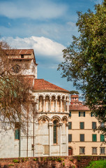 Fototapeta na wymiar View of Lucca medieval historic center with Cathedral apse and the charcteristic Guinigi Tower from ancient city walls