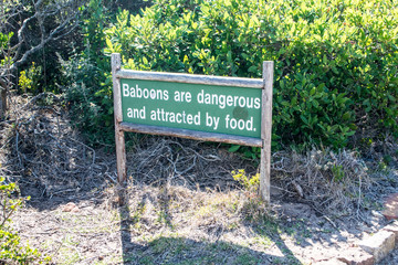 Baboons are dangerous