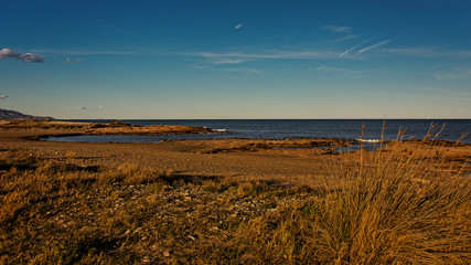 MEDITERR&Aacute;NEO 47. Parque Natural Prat de Cabanes-Torreblanca. Castell&oacute;n, Espa&ntilde;a