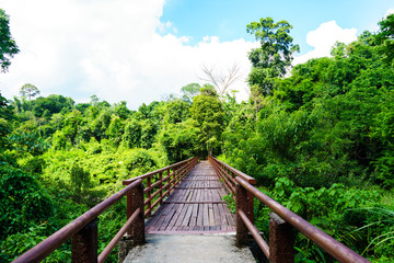 The bridge goes into the forest to go to Haew Narok waterfall.