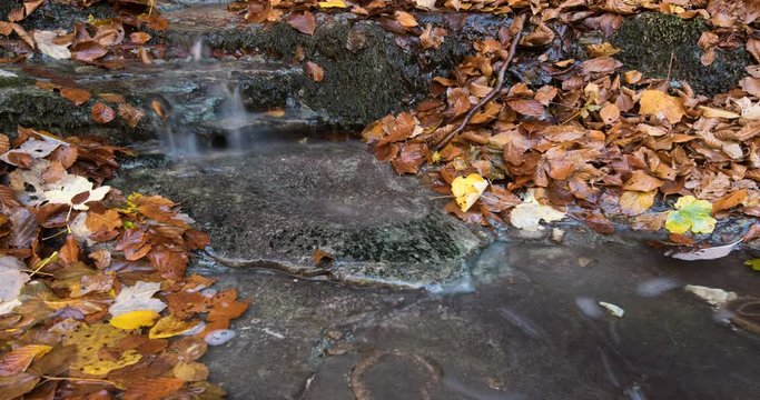 Autumn season, mountain stream, 4K DCI Timelapse