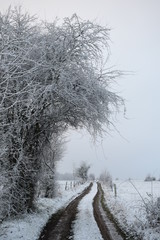 Chemin Enneig&eacute;