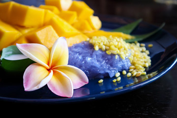 Fototapeta na wymiar Ripe sweet mango with sticky rice, Traditional Thai dessert