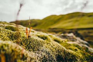 Hochland 18 © Dennis