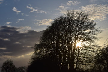 Apr&egrave;s-midi d'&eacute;t&eacute;