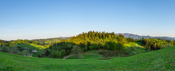 Germany, XXL large panorama view on sunset light over black forest trees in nature landscape
