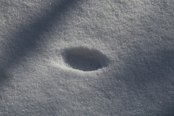 Trace dans la neige