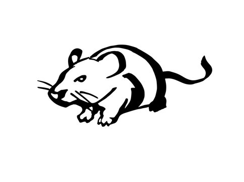 Mouse. Stylized line drawing