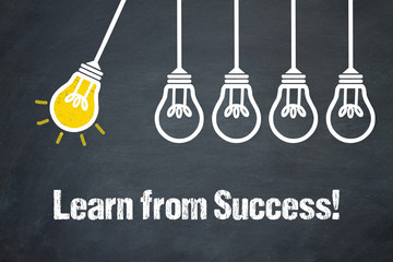 Fototapeta premium Learn from Success!