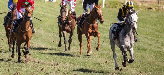 galloping race horses and jockeys sprinting towards the finish line