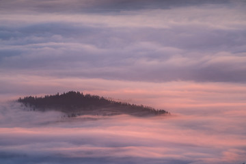 Obraz na płótnie Canvas Spectacular colors at sunrise, a colorful sea of fog over the forest
