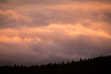 Obraz premium A beautiful sea of clouds over the forest, everything was gold in the color of the sunrise, you can barely see the trees through the clouds