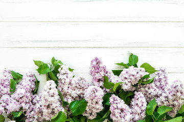 Spring lilac flowers on white wooden background. Flat lay, top view, copy space