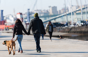 Young couple walking with their dog