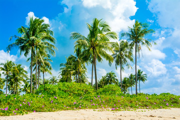 Beautiful sandy beach