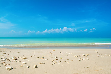 Beautiful landscape of clear turquoise Indian ocean, Maldives islands