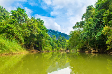 Tropical landscape of a jungle in Thailand