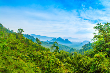 Fototapeta na wymiar Foggy landscape of a tropical jungle