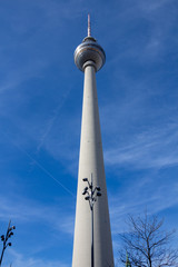Obraz premium Berliner Fernsehturm im Frühjahr