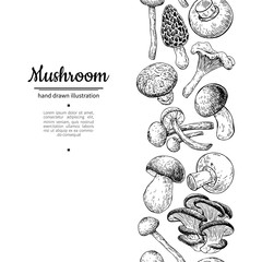 Mushroom drawing vector seamlees border. Isolated   food frame s