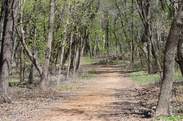 Hiking path in the woods