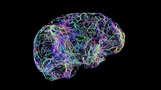 brain rotation connections colorful
