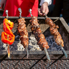 Grilled vegetables and meat is  fried on skewers on a hot coal. Traditional food for a picnic. Square.