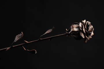 The rose with bloom and a stalk of bronze color made of metal, on black background.