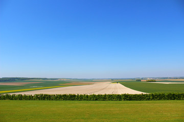 Naklejka premium cimetière australien de Villers bretonneux dans la somme, avec son mémorial à la mémoire des hommes tombés lors de la 1ere guerre mondiale