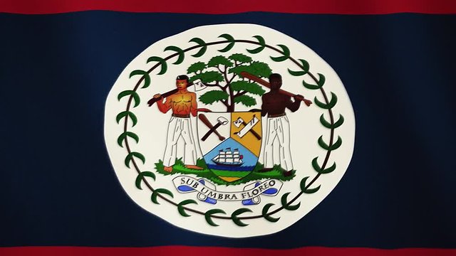 Belize flag waving animation. Full Screen. Symbol of the country.