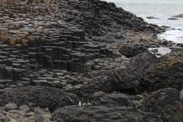 Ireland Giants Causeway Beach Rocks
