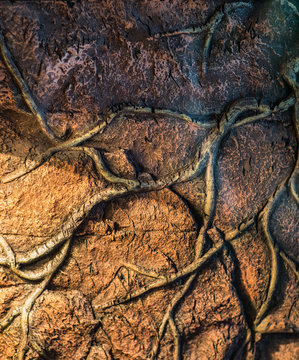 Dark Brown Stone Abstract Background